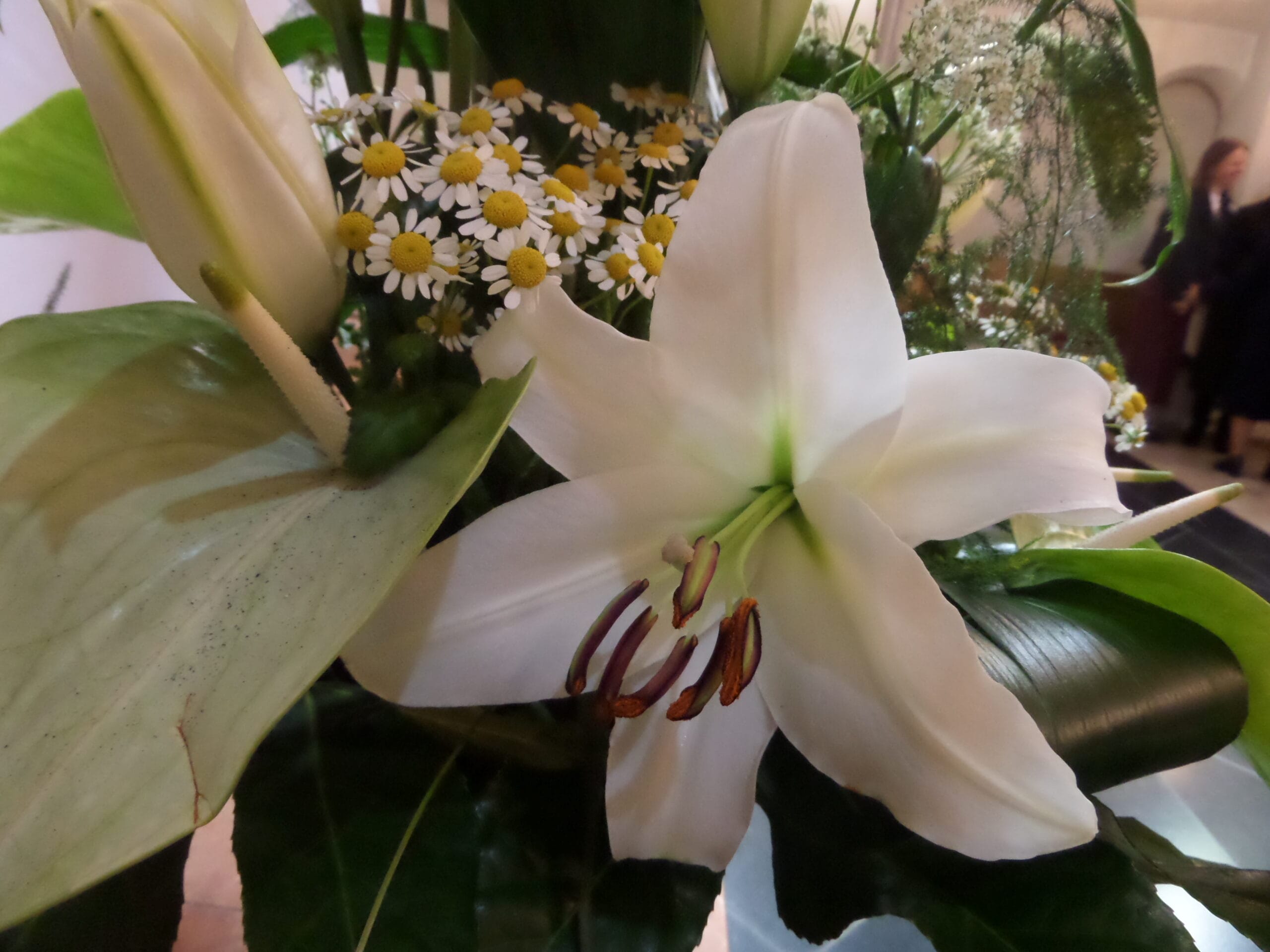 gallery-item